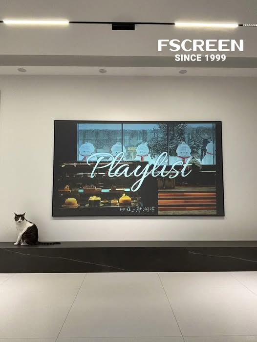 La visi&oacute;n futura de Fscreen: redefiniendo los l&iacute;mites de la proyecci&oacute;n